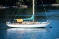 Sailsboat on mooring buoy