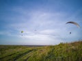 Sailwings gliding and floating in blue sky above green hill with earthy path skyward and lonely tree