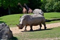 Saint Aignan; France - july 12 2020 : the zoo park of Beauval