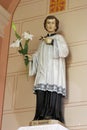 Saint Aloysius Gonzaga