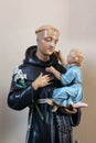 Saint Anthony of Padua holding the baby Jesus, statue in the church of Holy Three Kings in Karlovac, Croatia Royalty Free Stock Photo