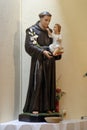 Saint Anthony of Padua Royalty Free Stock Photo