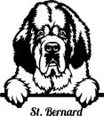 Saint Bernard Dog - Peeking Dog Breed - Pet Dog Vector Portrait, Dog Silhouette Stencil Royalty Free Stock Photo