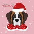 Saint Bernard dog with red Santa`s hat