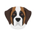 Saint Bernard dog vector illustration