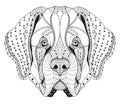 Saint Bernard Dog Zentangle Stylized Head, Freehand Pencil, Hand