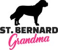 Saint Bernard Grandma with silhouette