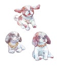 Saint bernard puppy watercolor illustration