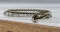 Saint Brevin. France 18-06-2021. Huge statue of snake skeleton in the sea at Saint Brevin France.