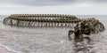 Saint Brevin. France 18-06-2021. Huge statue of snake skeleton in the sea at Saint Brevin France.