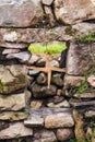 Saint Brigid`s cross made from straw stuck in window and blessed the house and protected it from fire and evil