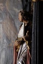 Saint Cecilia, statue on the altar of Saint Apollonia in the Church of Saint Catherine of Alexandria in Zagreb