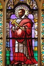 Saint Charles Borromeo Royalty Free Stock Photo