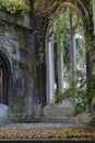 Saint Dunstan In The East, London Royalty Free Stock Photo