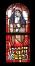 Saint Edith Stein, stained glass window in St. James church in Hohenberg, Germany Royalty Free Stock Photo