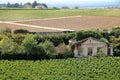 Chateau and vineyard in saint emilion Royalty Free Stock Photo