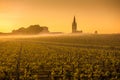 Saint Emilion Sunrise, Bordeaux Vineyard, France Royalty Free Stock Photo