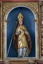Saint Fabian Royalty Free Stock Photo