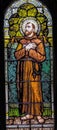 Saint Francis Assisi Stained Glass Saint Mary Basilica Phoenix Arizona Royalty Free Stock Photo