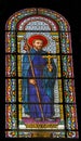 Saint Francis Assisi Stained Glass Nimes Cathedral Gard France Royalty Free Stock Photo