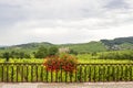 Saint-Hippolyte (Alsace) - Landscape