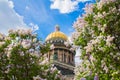 Saint Isaac`s Cathedral in the flowers of lilac and Apple trees Royalty Free Stock Photo