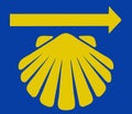 Saint James shell with yellow arrow