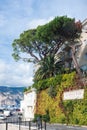 Saint-Jean-Cap-Ferrat, France, September 2021. Beautiful view of the sea, the mountain and the tree, the parking of yachts