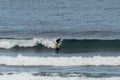 Surfer enjoying a surf session in the Atlantic Royalty Free Stock Photo