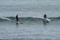 Surfers enjoying a surf session in the Atlantic Royalty Free Stock Photo