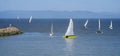 Sails boats on the Saint Lawrence seaway in Saint-Jean Port-Joly, Quebec Royalty Free Stock Photo