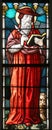 Saint Jerome Royalty Free Stock Photo