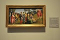 Saint John the Baptist Preaching by Raphael at the National Gallery Museum in London