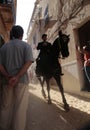 Saint john horse festivity in minorca