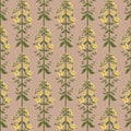 Saint John`s wort flowers seamless pattern on pink background