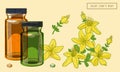 Saint Johns wort flowers and vials