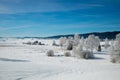 Saint Laurent en Grandvaux in winter Royalty Free Stock Photo