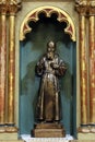 Saint Leopold Mandic, staue on the main altar in the church of St Peter in Ivanic Grad, Croatia