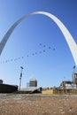 Saint Louis Gateway Arch Birds