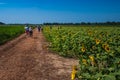 Saint Louis, MO--July 18, 2020; professional and amateur photographers walk around Columbia Bottoms Nature Reserve in the north