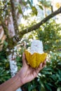 Saint Lucia Caribbean Island, huge Piton mountains at the beach of tropical Island of Saint Lucia Royalty Free Stock Photo