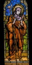 Saint Margaret Cortona Stained Glass Saint Mary Basilica Phoenix Arizona