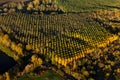 Saint-Maurice-Montcouronne tree plantation seen from the sky in autumn Royalty Free Stock Photo