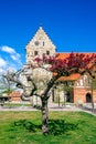 Saint Nicolai Church, a medieval church in central Simrishamn in springtime, Southern Sweden Royalty Free Stock Photo