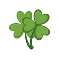 Saint Patrick Day Clover Symbol