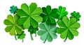 Saint Patrick Lucky Clover