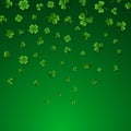 Saint Patrick`s Day Border with Green Four and Tree Leaf Clovers. Irish Lucky and success symbols. Vector illustration