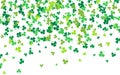 Saint Patrick`s Day Border with Green Four and Tree Leaf Clovers on White Background. Irish Lucky and success symbols. Vector Royalty Free Stock Photo