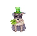 Saint Patrick`s Day card with dog in green hat, 4 leaves clover. Watercolor Royalty Free Stock Photo