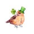 Saint Patrick`s Day card with funny bird in green leprechaun hat, 4 leaves clover. Watercolor